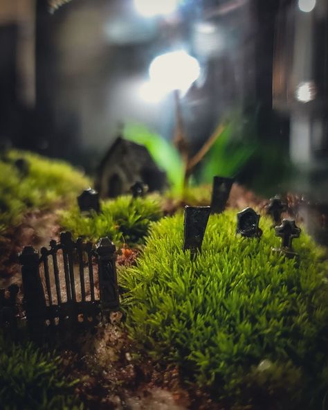 Learn how to make a graveyard mossarium with realistic Halloween terrarium decor and a few other simple materials. Nature, Mini Graveyard Terrarium, Goth Terrarium Ideas, Cemetarium Moss Terrarium, Cemetery Terrarium Graveyards, Spooky Terrarium Diy, Diy Cemeterium, Cemetary Terrarium Diy, Diy Mini Graveyard