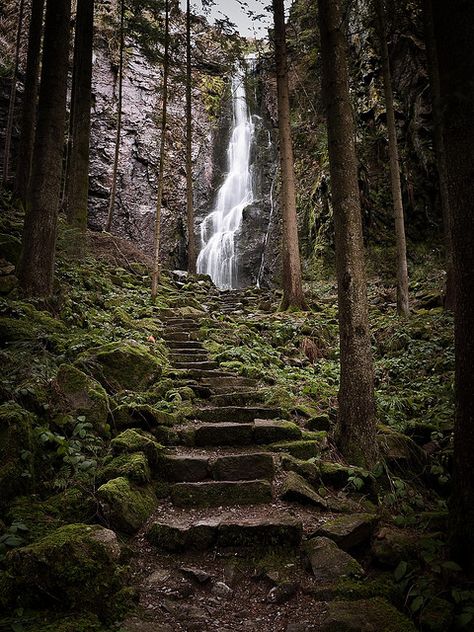 Hidden in the Forest by andywon - Burgbach Forest Stairs & Waterfall in the Black Forest, near in Bad Rippoldsau-Schapbach, Baden-Wurttemberg, DE. Germany Travel, Black Forest Germany, The Black Forest, Les Cascades, Pretty Places, Black Forest, Albania, Places Around The World, Serbia