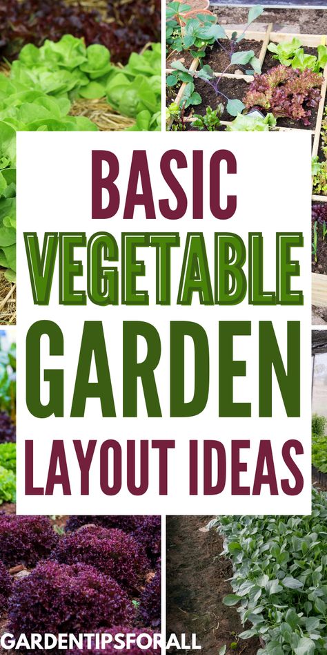 How To Plant Your Vegetable Garden, Small Garden Vegetable Layout, Veg Garden Design Layout, Raise Vegetable Garden, Veggie And Herb Garden Layout, Designing A Vegetable Garden, Raised Beds Planting Ideas, Kitchen Garden Raised Beds Layout, Vegetable Garden Planning Layout