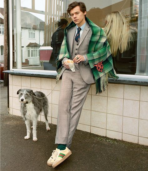 Gucci - Harry Styles Fall Tailoring Ad Campaign - The Impression Harry Styles, Harry Styles Gucci, Gucci