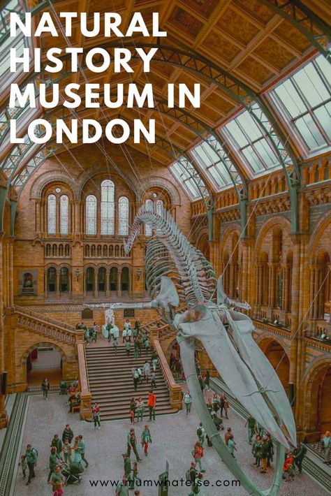 natural history museum london review Uk Attractions, American History Projects, American History Classroom, Natural History Museum London, London Kids, Museum Logo, Family History Projects, History Subject, London With Kids