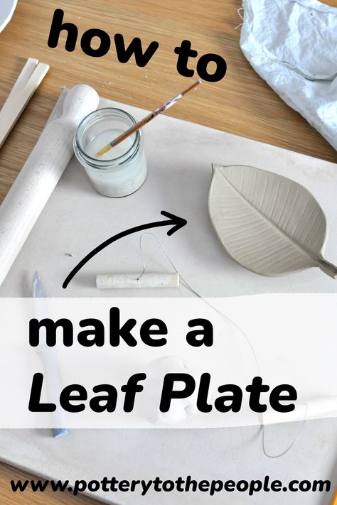 In this tutorial, I will show you how to make a ceramic leaf plate from a REAL leaf! The technique is simple but effective! I will show you how to build a clay leaf with the slab building technique and using a simple DIY drape mold. Come get muddy! Nature, How To Make A Ceramic Plate, Drape Mold Ceramics, Diy Ceramic Plate, Handbuilding Pottery, Leaf Pottery, Pottery Tutorials, How To Make Ceramic, Diy Drapes