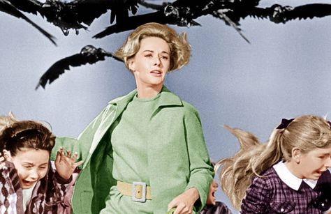 15 Iconic Movie Looks for Halloween  - TownandCountryMag.com Iconic Movie Looks, The Birds Hitchcock, Scary Movies To Watch, Alfred Hitchcock The Birds, Tippi Hedren, Celebrity Costumes, 60s Women, Bird Costume, Vintage Halloween Costume