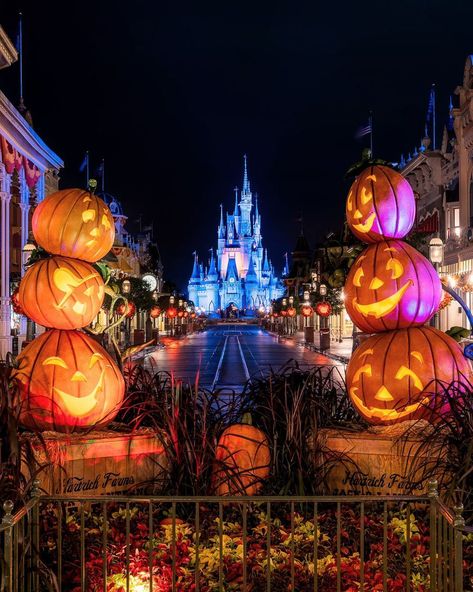 Halloween In Disneyland, Disney World During Halloween, Disney In Halloween, Disneyworld Halloween Aesthetic, Walt Disney World Halloween, Disneyland Halloween Wallpaper, Disney World Halloween Wallpaper, Halloween Disney Aesthetic, October Disneyland