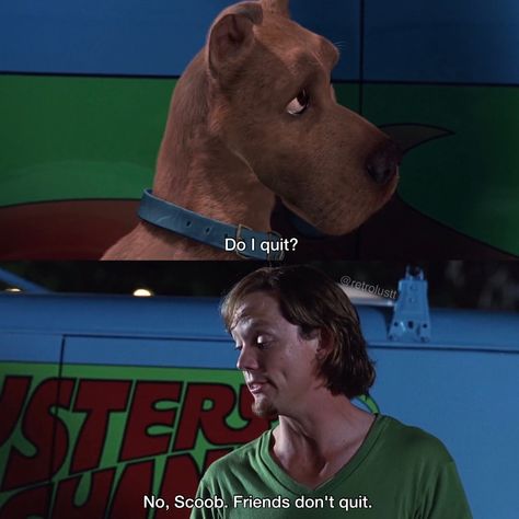 Scooby Doo Quotes Funny, Scooby Doo Wallpaper Aesthetic, Scooby Doo Quotes, Astetic Pictures, Scooby Doo Aesthetic, Fred Scooby Doo, Scooby Doo Tattoo, Scooby Doo Memes, Quote Movie