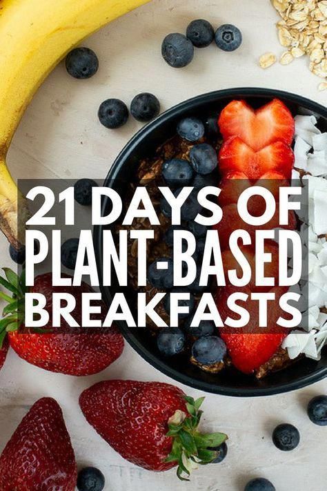 On The Go Breakfast Ideas, Meal Plans For Beginners, Packable Lunches, Diet Meal Plan For Beginners, Simple Dinner Recipes, Plant Based Diet Meals, On The Go Breakfast, Plant Based Diet Meal Plan, Meal Plan For Beginners