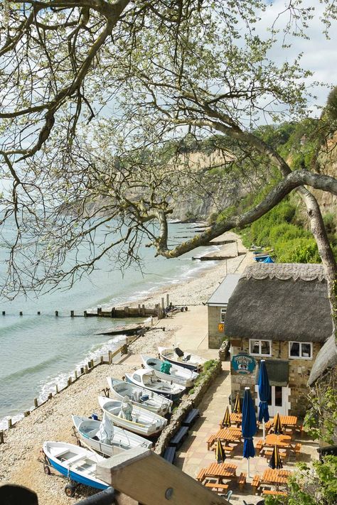 Isle Of Wight Aesthetic, Shanklin Chine, Shanklin Isle Of Wight, Isle Of Wight Beach, Wales Beach, Uk Beaches, Uk Holidays, Beach Huts, Beach Hut