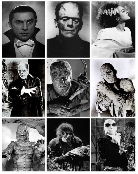 Universal Studio monster films. Goth Widgets, Classic Monster Movies, Horror Vintage, Film Horror, The Boogeyman, Horror Monsters, Famous Monsters, Horror Icons, Classic Horror Movies