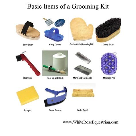 Horse Riding Games, Horse Grooming Supplies, Horse Grooming Kit, Riding Saddle, Equine Fashion, Horse Brushes, Horse's Neck, Horse Lessons, Horse Information