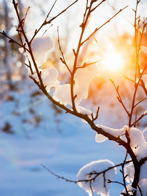 warm winter sun.... Winter Make Up, Winters Tafereel, Winter Poster, Winter Szenen, Snow Photography, Photography Winter, Winter Photos, Winter Sun, Winter Magic