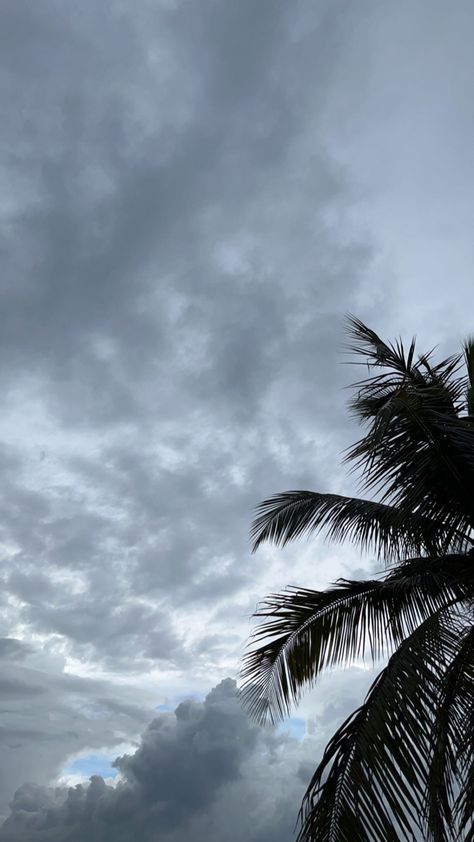 Nature, Asthetic Pics For Instagram Story, Morning Asthetic Picture, Morning Fake Story, Morning Snaps, Sky Snap, Morning Snap, Rainy Clouds, Thunder Photography