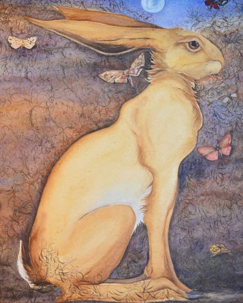 Jackie Morris on Instagram: “Hare, moths” Jackie Morris, Balance Of Life, Hare Art, Leopard Painting, Dummies Book, Spirit Bear, Honey Colour, The Balance, College Art