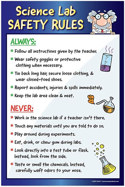 Lab Safety Rules Poster, Science Safety Posters, Science Lab Safety Rules, Middle School Science Lab, Lab Safety Poster, Kids Science Lab, School Counselor Posters, Science Lab Safety, Lab Safety Rules