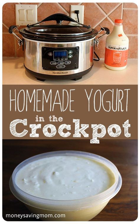 Homemade Yogurt in the Crockpot #homemadeyogurt #yogurtrecipe #crockpotyogurt Essen, Crockpot Yogurt, Make Homemade Yogurt, Homemade Yogurt Recipes, The Whoot, Homemade Yogurt, Fruit Dip, Yogurt Recipes, Crock Pot Slow Cooker