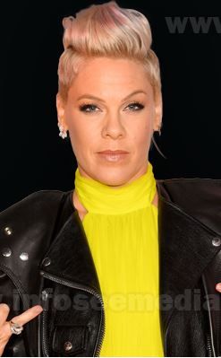 Know singer Pink bio, career, debut, husband, age, height, awards, favorite things, body measurements, dating history, net worth, car collections, address, date of birth, school, residence, religion, Pink The Singer, Singer Pink, Pink Singer, Date Of Birth, Beautiful Inside And Out, Female Singers, Car Collection, Net Worth, Body Measurements