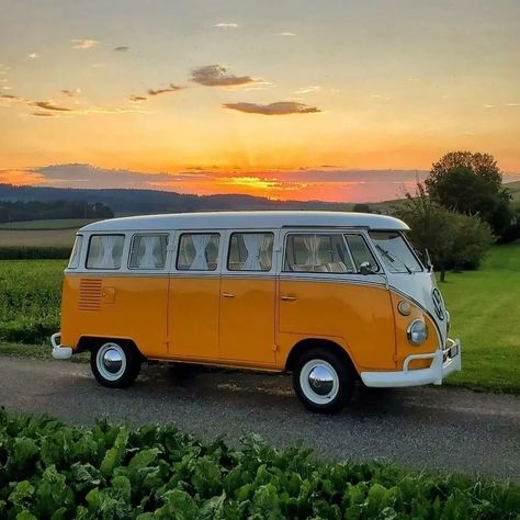 Travel, Camping, Van, Wicked, Volkswagen, Instagram Account, A Photo, To Share, On Instagram