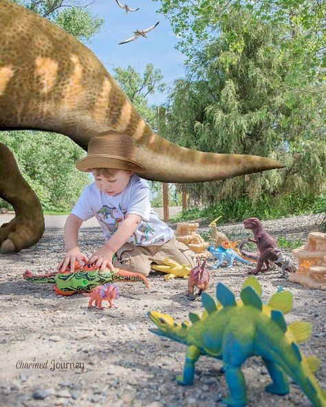 Toddler Photography, Dinosaur Photoshoot Ideas, Dinosaur Birthday Photo Shoot, Boy Birthday Photoshoot, Dinosaur Photoshoot, Dino Photoshoot, Dinosaur Photography, Boy Photoshoot, Dinosaur Photo