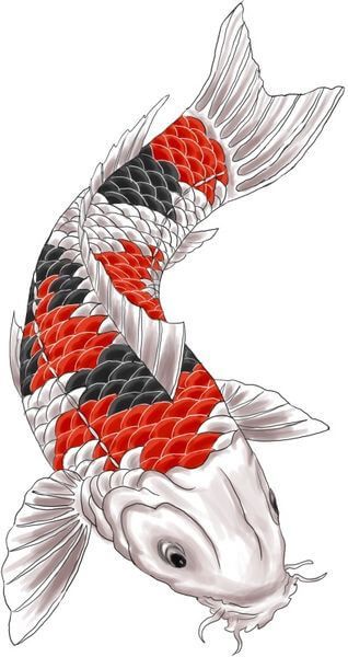 Koi Tattoo Design - see more designs on http://thebodyisacanvas.com Pez Koi Tattoo, Karp Koi, Carp Tattoo, Japanese Koi Fish Tattoo, Tato Ikan Koi, Koi Tattoo Design, Koi Fish Drawing, Koi Art, Ikan Koi