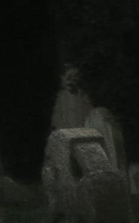 "This photo was taken by my fiancé at a very old cemetery."—gabriellap Ghost Pics, Real Ghost Photos, Paranormal Pictures, Images Terrifiantes, Paranormal Photos, Scary Photos, Real Haunted Houses, Scary Images, Scary Ghost Pictures