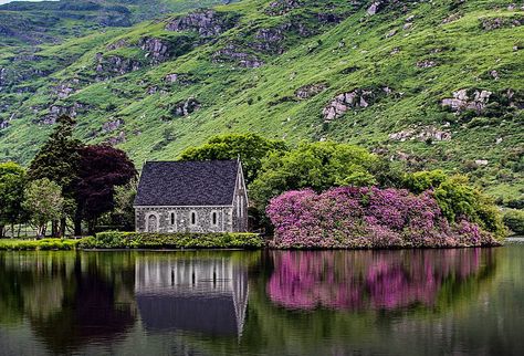 50 breathtaking images of West Cork, Ireland that will make you want to book a flight to Cork! – VisitWestCork Ireland Countryside, Ireland Tattoo, Ireland Aesthetic, Ireland Hotels, Moving To Ireland, Ireland Pictures, County Cork Ireland, Ireland Photography, Castles In Ireland