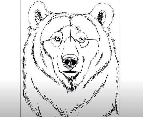 How To Draw A Bear Face, Bear Face Drawing, Easy Animals To Draw, Draw A Bear, Draw Cartoon Characters, Animals To Draw, Draw For Beginners, Face Step By Step, How To Draw Animals