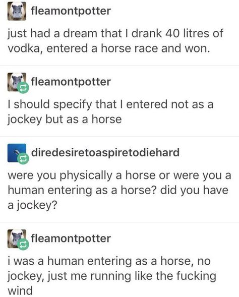 Tumblr Funny, Humour, Funny Stories, Horse And Human, Funny Tumblr Posts, Komik Internet Fenomenleri, What’s Going On, Horse Racing, Tumblr Posts