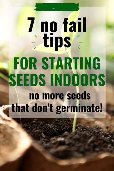 Permaculture, How To Start Seeds Inside, Growing Seedlings Indoors Mini Greenhouse, Best Seeds To Start Indoors, How To Start An Indoor Herb Garden, Plant Starts Indoors, Garden Timeline Seed Starting, How To Start Growing Plants Indoors, Best Soil For Seed Starting