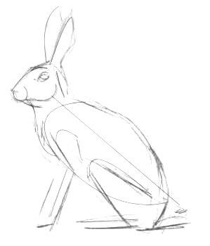 Hare Pictures Drawings, Pictures Of Rabbits To Draw, Hare Drawing Simple, How To Draw A Hare, How To Draw A Rabbit, Moon Gazing Hare Tattoo, Hare Aesthetic, Rabbit Line Drawing, Draw Chicken