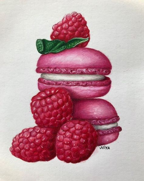 food art pencil drawing Macaroons Raspberry, Raspberry Art, Colored Pencil Artwork Ideas, Fruit Art Drawings, Colored Pencil Art Projects, Desserts Drawing, Food Art Painting, Color Pencil Sketch, Desen Realist