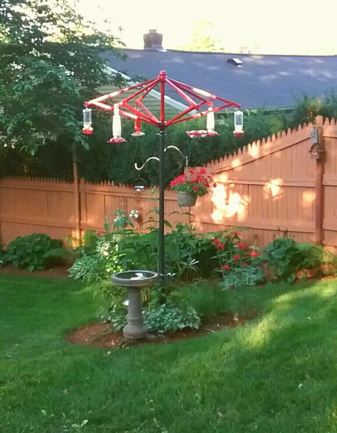 Repurposed umbrella frame is now a feeding station for hummingbirds Hummingbird Yard Ideas, Nature, Upcycling, Repurposed Umbrella Frame, Umbrella Frame Repurposed, Hummingbird Feeding Station, Backyard Bird Sanctuary Ideas, Hummingbird Station, Umbrella Upcycling