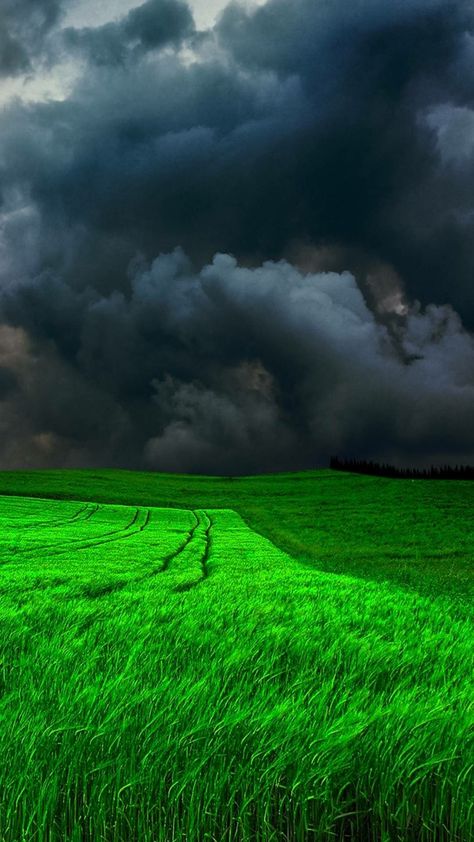 Storm Photography, Nature, Weather For Kids, Weather Wallpaper, Weather Vocabulary, The Perfect Storm, Weather Chart, Running In Cold Weather, Weather Activities