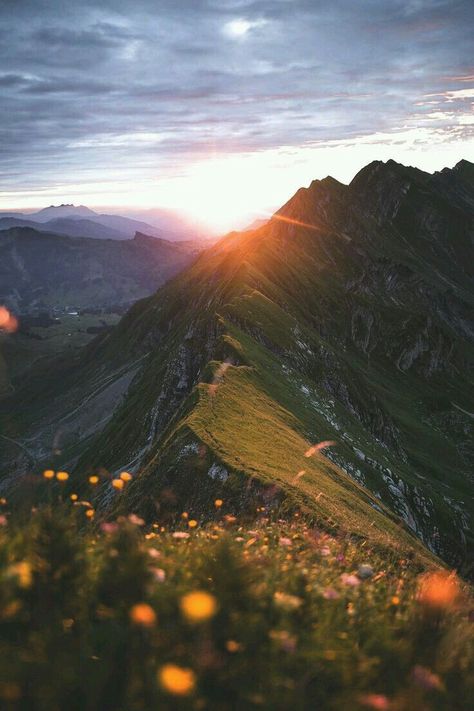 Flower Nature Photography, Sunrise On Mountains, Sunrise In Mountains, Adventurer Aesthetic, Sunrise Over Mountains, Pretty Mountains, Mountain Pics, Scotland Mountains, Flowers Mountain