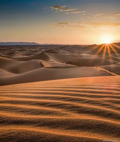 Good Morning Sunshine. Beautiful sunrise, Morocco Sahara desert. Sahara Desert Photography, Desert Sahara, Desert Sunrise, Desert Aesthetic, Deserts Of The World, Gold Wallpaper Background, Desert Photography, Desert Environment, Desert Dream