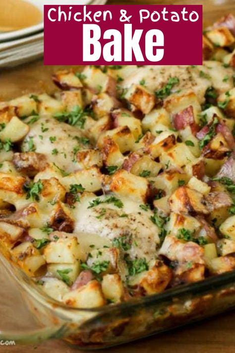 Essen, Chicken Potato Casserole, Chicken Potato Bake, Chicken Casserole Easy, Chicken Potato, Potato Dinner, Potato Bake, Baked Dinner, Potatoe Casserole Recipes