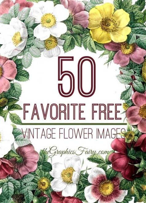 Beautiful Flowers Images, The Graphics Fairy, Free Vintage Printables, Free Printable Art, Graphics Fairy, Vintage Diy, Printable Labels, Printable Image, Vintage Printables