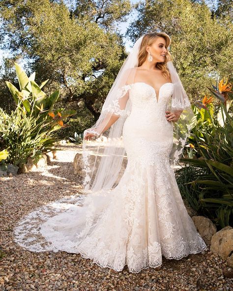 Style 2376 Karina | Casablanca Bridal Classic Lace Wedding Dress, Flare Wedding Dress, Plus Wedding Dresses, Casablanca Bridal, High Neck Wedding Dress, Fit And Flare Wedding Dress, Crystal Buttons, Lace Bridal Gown, Groom Outfit