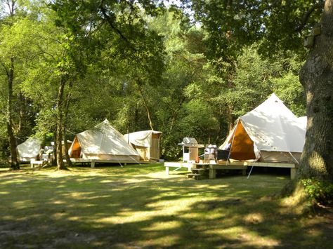 Campsite Decorating, Family Glamping, Glamping Resorts, Camping Set Up, Luxury Glamping, Glamping Site, Safari Tent, Bushcraft Camping, Tent Sale