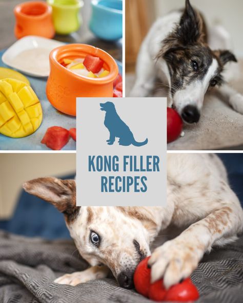 Kong Fillers Stuffing Recipes, Low Fat Dog Treats, Kong Treats, Kong Stuffing, Kong Recipes, Dog Treat Toys, Fat Dogs, Kong Toys, Frozen Dog