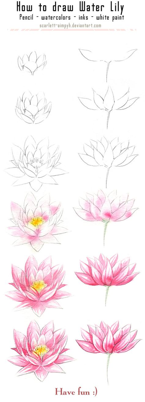 20 Delicate Colorful Watercolor Flowers Painting Tutorials In Images Drawing Faces, Ako Kresliť, Sailor Moon Super S, Tohka Yatogami, Bahasa Jepun, Hur Man Målar, Watercolor Flowers Tutorial, Water Drawing, Seni Cat Air