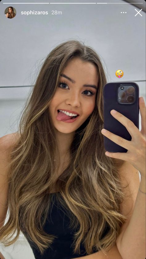 Balayage, Light Hair For Brunettes, Honey Babylights On Brown Hair, Summer Hair Straight, Latina Balayage, Blonde Highlights On Brown Hair Straight, Hair Color Morena, Highlight Long Hair, Honey Babylights