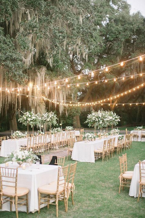 Wedding Reception Setup, Backyard Reception, Dream Wedding Venues, Outdoor Wedding Reception, Garden Party Wedding, Future Wedding Plans, Outdoor Wedding Decorations, Outside Wedding, Wedding Mood