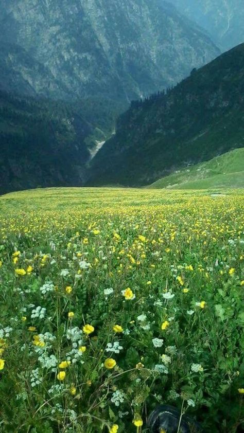 Nature, Fulfilled Aesthetic, Green Valley Aesthetic, Dark Valley Aesthetic, Valleys Aesthetic, Hills With Flowers, Cloud Poem, Valley Pictures, Valley Aesthetic