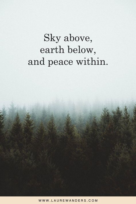 This post features some of the most beautiful nature quotes and captions. Whether for your Instagram picture or for inspiration. Life Nature Quotes, Into Nature Quotes, Good Nature Quotes, Quotes About The View, Nature And Me Quotes, Aesthetic Words About Nature, Most Beautiful Quotes Inspirational, Scenery With Quotes, Nature Loving Quotes