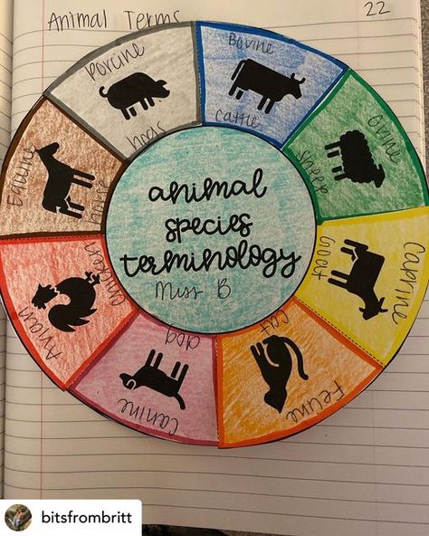 Animal Identification Activities, Animal Science Lessons High School, Ag Science Projects, Sae Ideas Ffa, Vet Science Activities High School, Agriscience Lessons, Ag Teacher Lesson Plans, Agriculture Lessons For Kids, 4h Activities For Kids