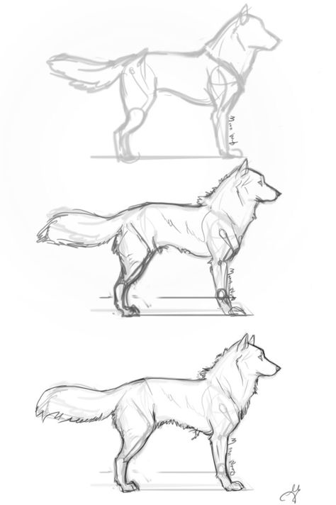 Our Tips On How To Draw Animals | Cowling & Wilcox Blog Drawing Hands, Drawing Hair, Drawing Eyes, Ako Kresliť, Wolf Sketch, Personaje Fantasy, Desen Realist, Draw Animals, Drawing Animals