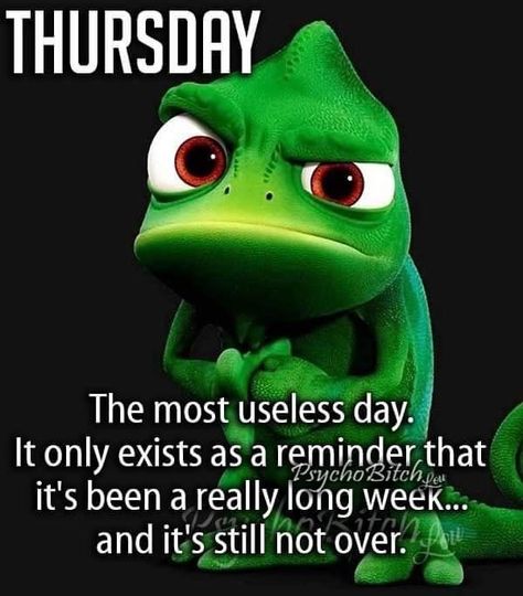 Nature, Humour, Thursday Quotes Funny, Funny Thursday Quotes, Thursday Humor, Funny Day Quotes, Happy Thursday Quotes, Happy Day Quotes, Thursday Quotes