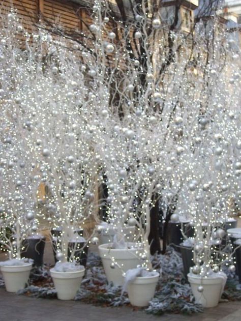 Winter Prom Theme, Winter Wonderland Decorations Diy, Glam Christmas Decor Ideas, Winter Wonderland Wedding Decorations, Art Floral Noel, Diy Winter Wedding, Winter Branches, Winter Wonderland Decorations, Lights Party