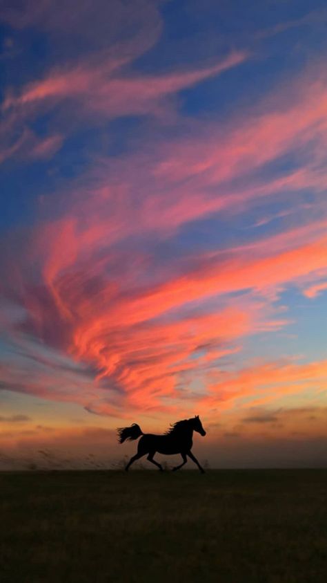 Horse Backgrounds Wallpapers, Aesthetic Horse Riding, Horse Sunset, Horse Background, Country Sunset, Wild Horses Photography, Country Backgrounds, Cool Nike Wallpapers, Origami Envelope