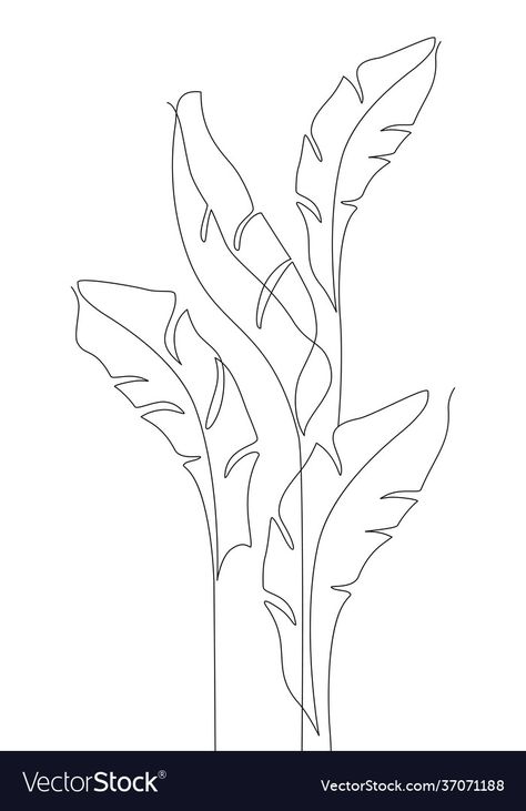 Bird Of Paradise Line Drawing, Tropical Leaves Line Art, Banana Leaf Line Drawing, Tropical Leaf Line Art, Banana Leaf Outline, Foliage Drawing Leaves, Tropical Leaves Drawing Simple, Tropical Leaves Outline, Jungle Line Art