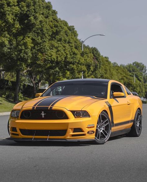 Ford Mustang Boss 302 ! 302 Boss Mustang, Ford Mustang Classic, Mustang Classic, Gt 500, Mustang Boss 302, Laguna Seca, Ford Mustang Boss, Bust A Move, Mustang Boss